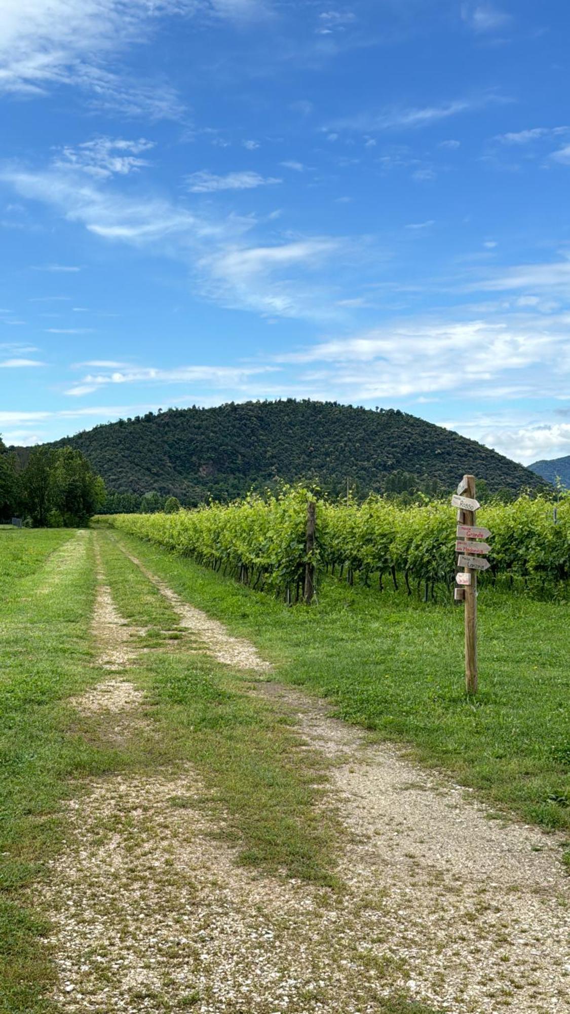 Apartment Casa Abano Terme Euganean Hills *